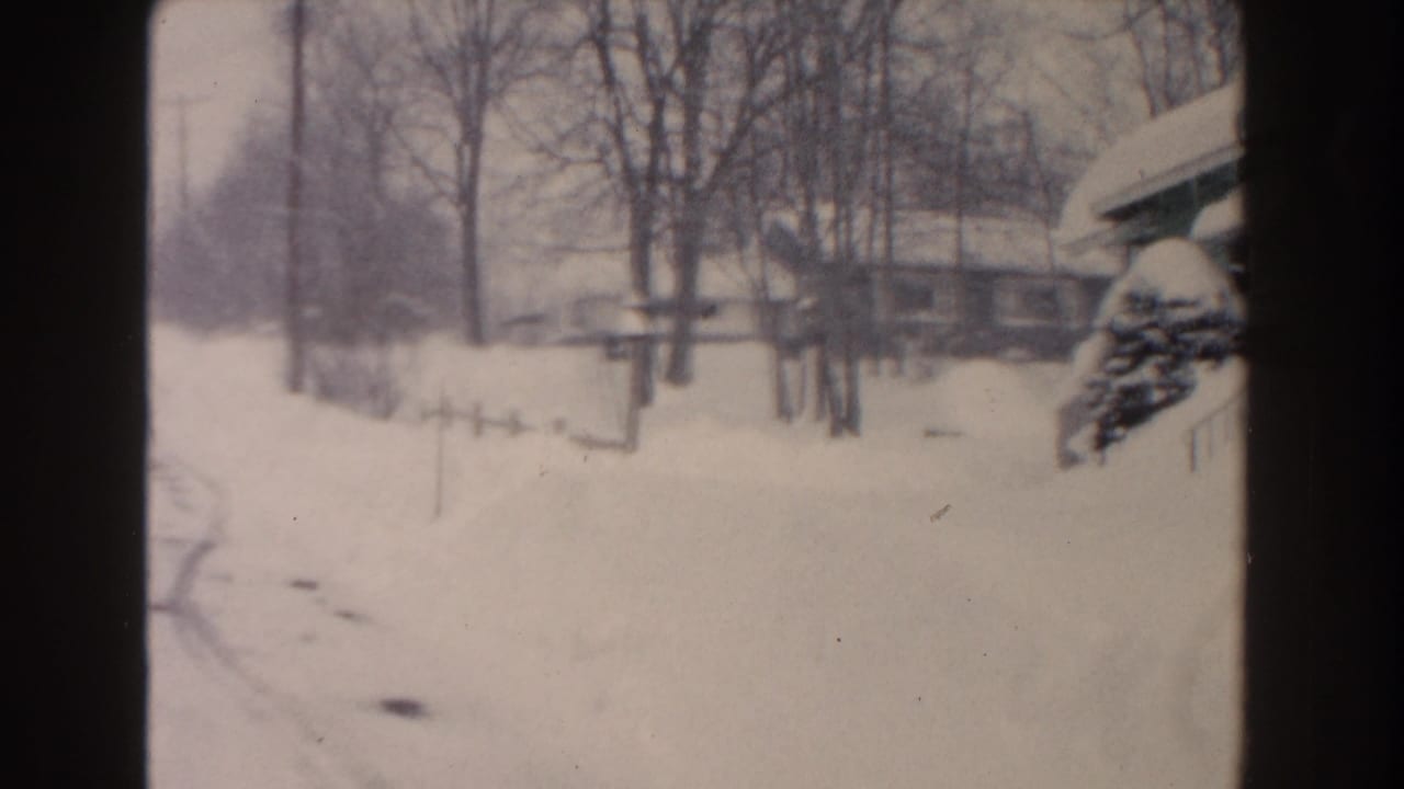 Snowy street view with bare trees, house edges, shrubs, and deep snowbanks.