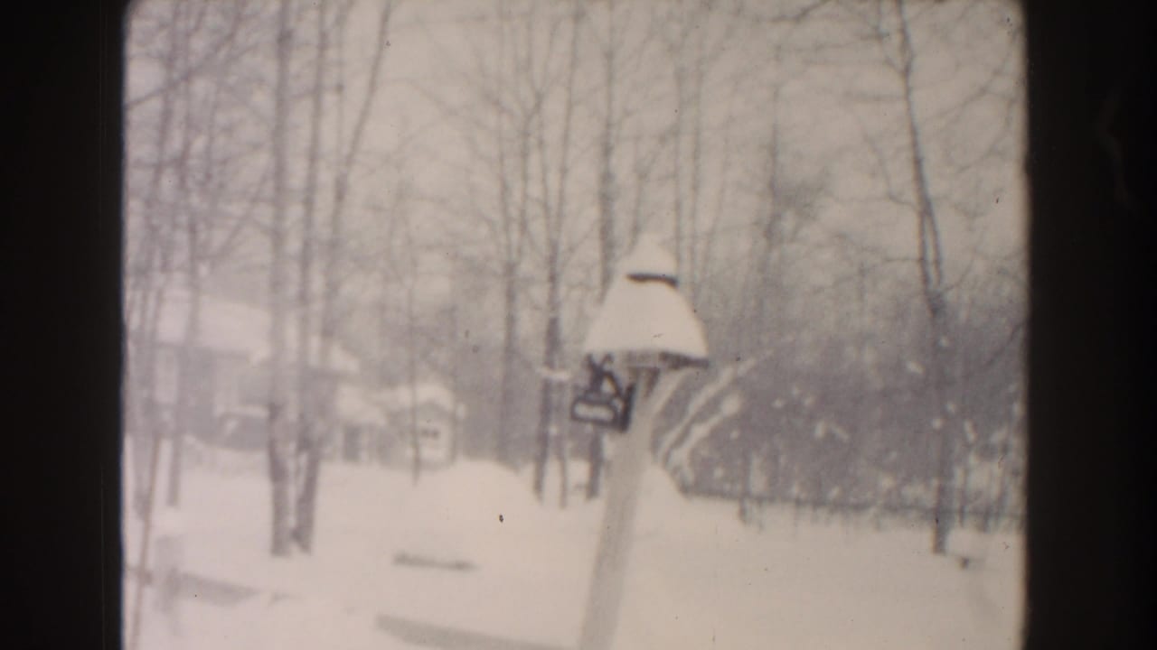 Snowy wooded yard with bare trees and a snow-capped mailbox or post in the foreground.