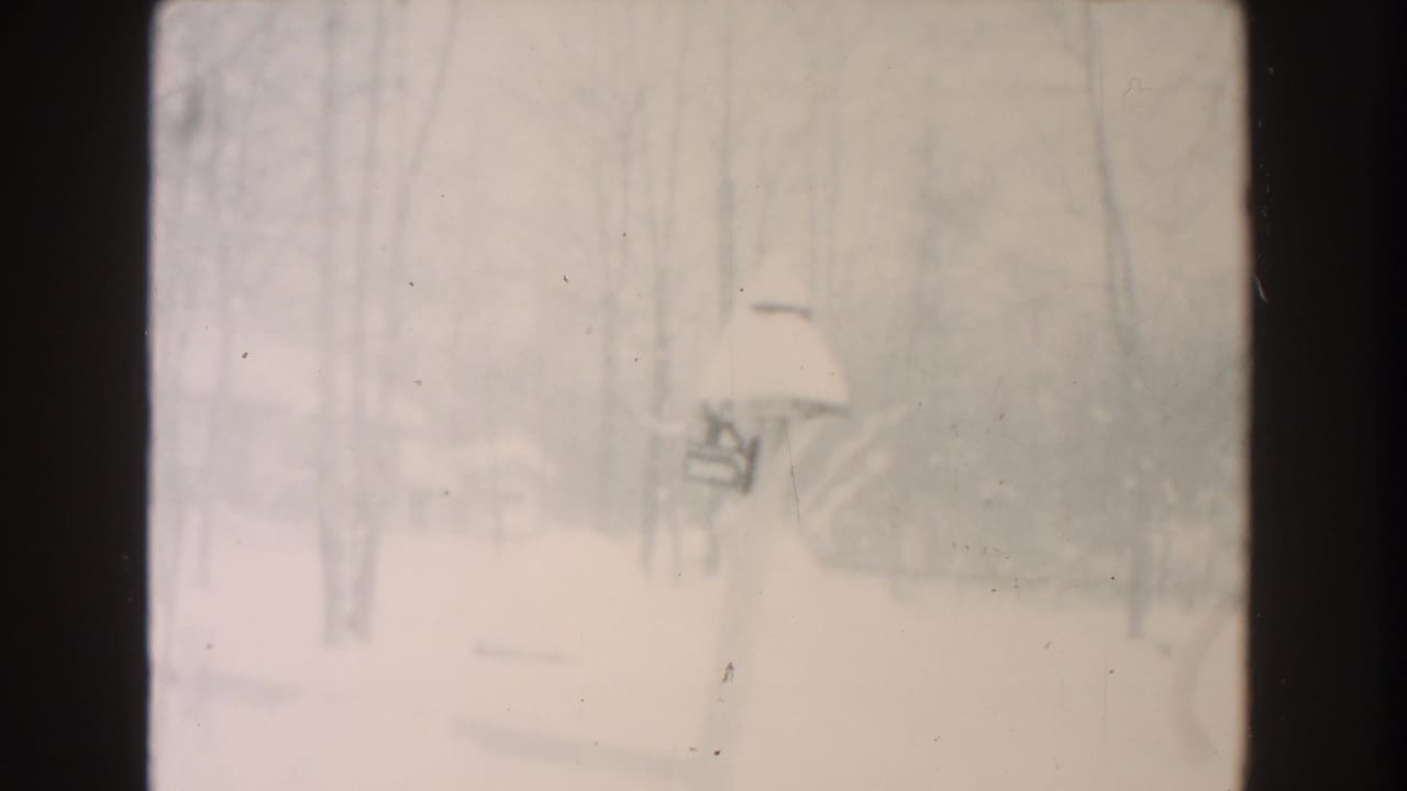 Pale snowy woods with a snow-topped mailbox or post near the right side of the frame.