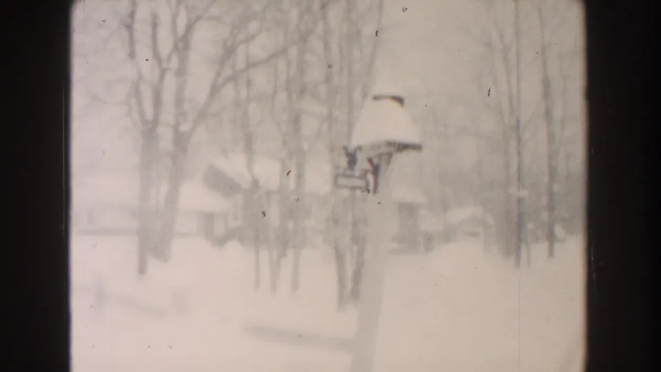 Dearborn winter frame with bare trees, deep snow, faint residential structures, and a snow-covered mailbox or post in soft focus.