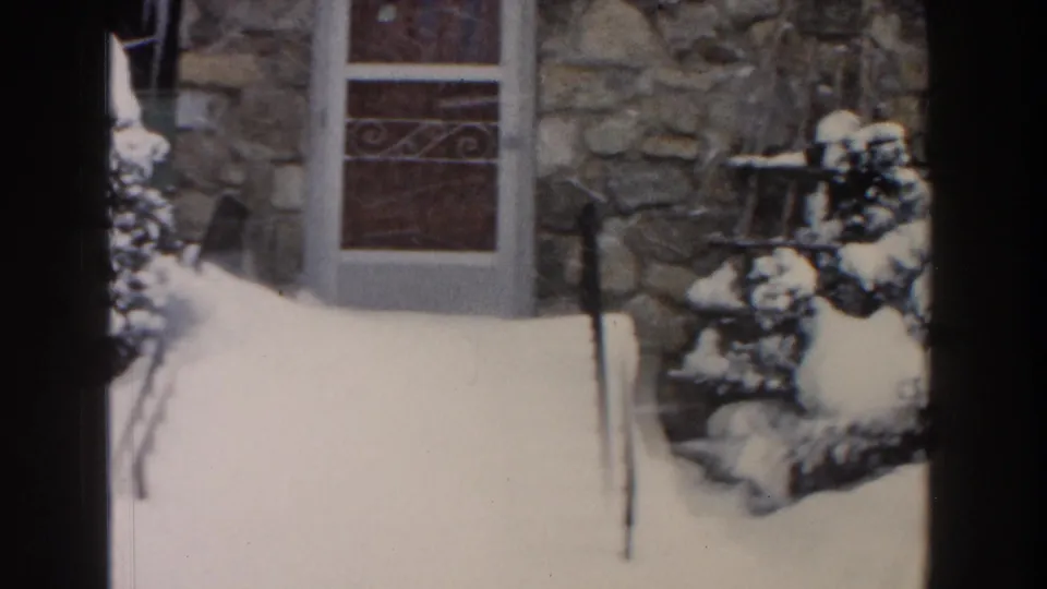 1961 Dearborn home exterior with a decorative front door, stone siding, piled snow, and a shrub near the entry.