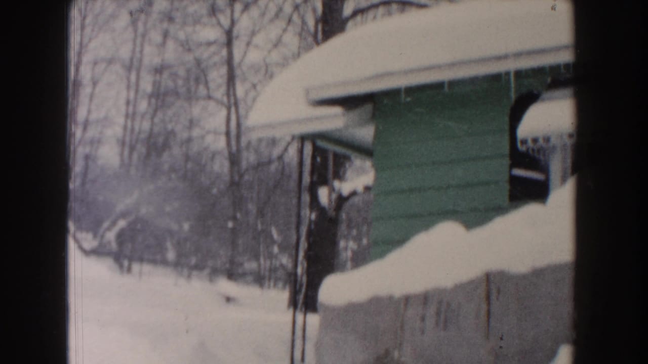 Snow-covered green house beside a snowy yard with bare trees.