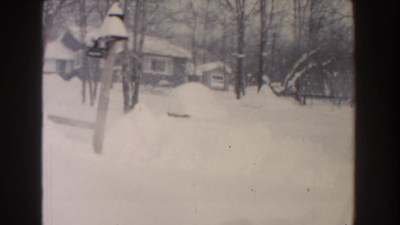 Snowy backyard with bare trees, distant houses, and a yard fixture.