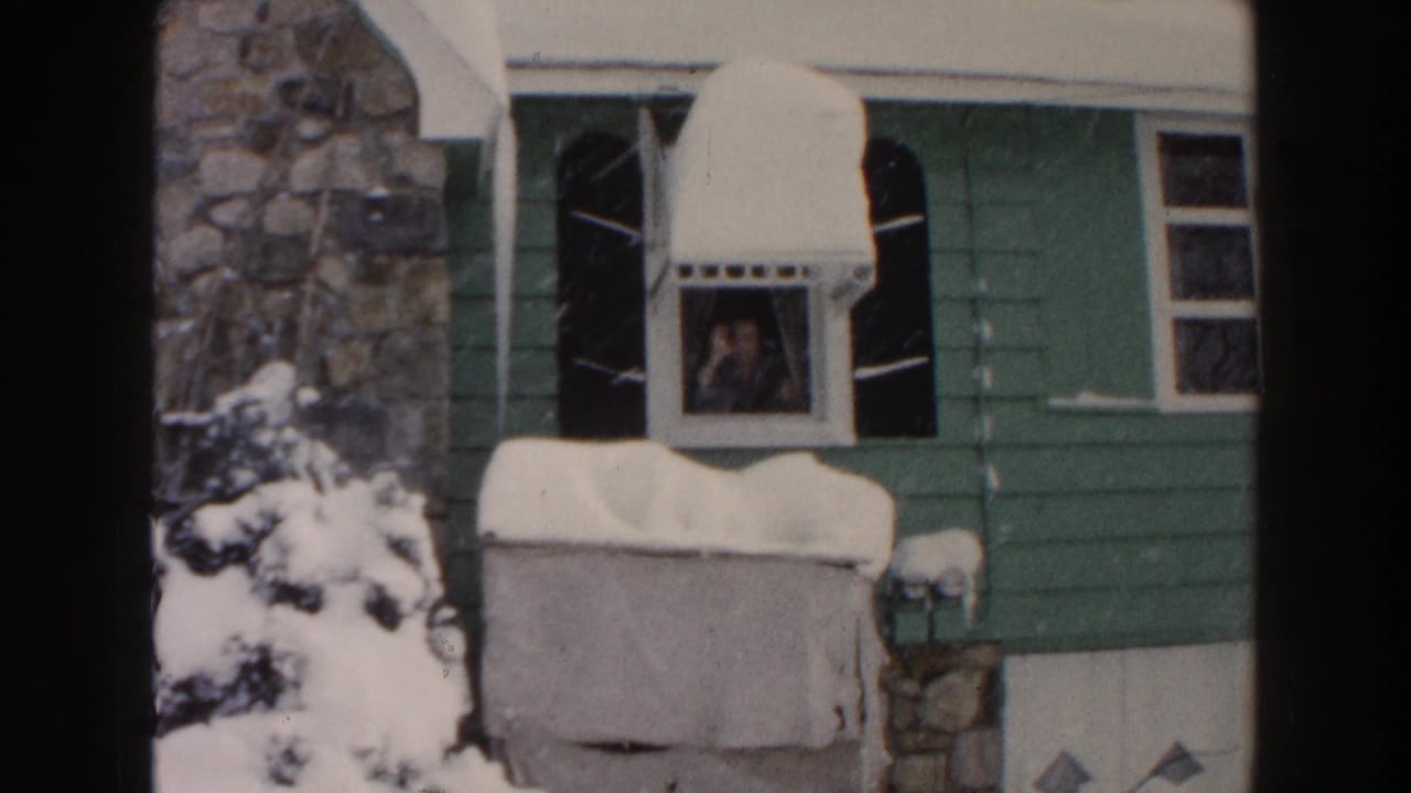 Snow-covered green house with a person visible in a front window.