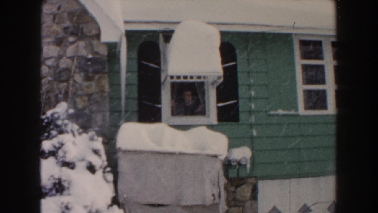 Person behind a window of a snowy green house with black shutters.