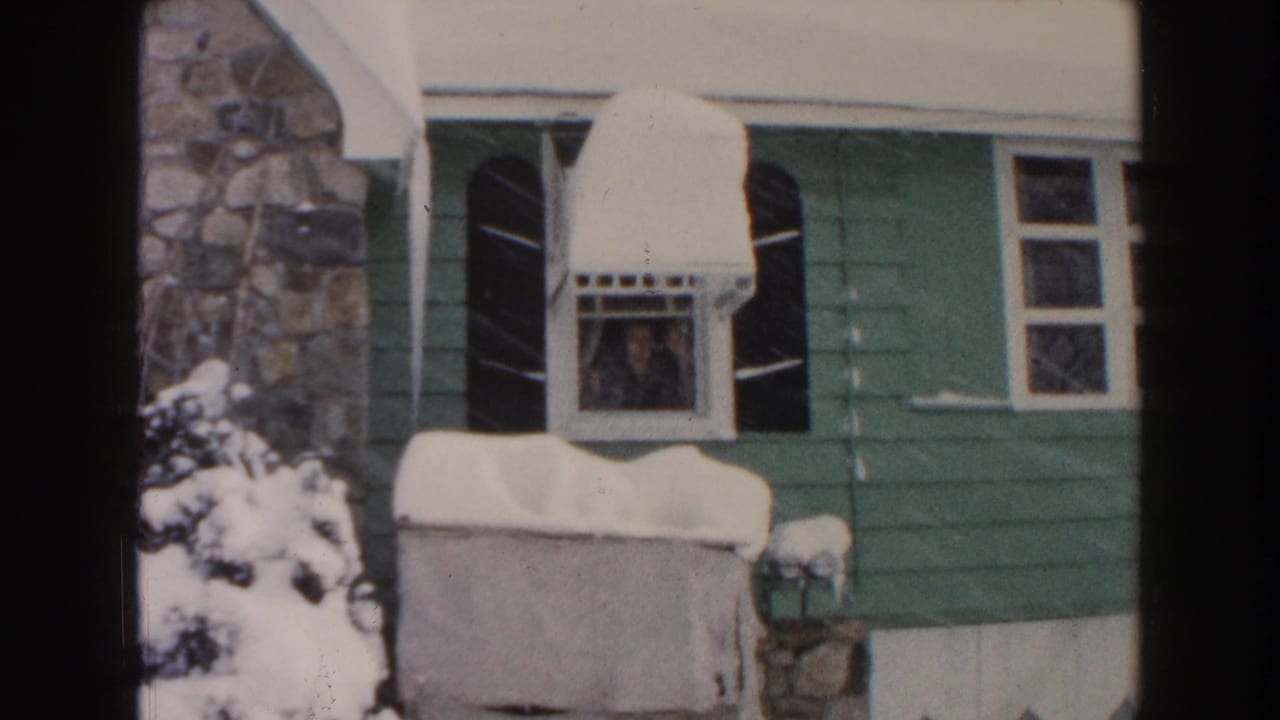 Snowy green house exterior with a person visible in a small window.