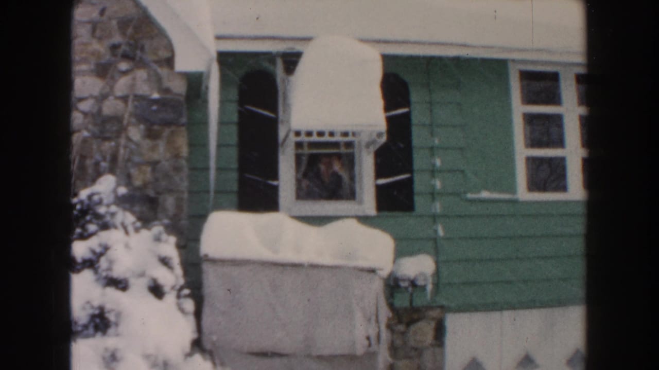 Snowy Dearborn, Michigan bungalow exterior with black shutters, stonework, and a person visible through the front window.