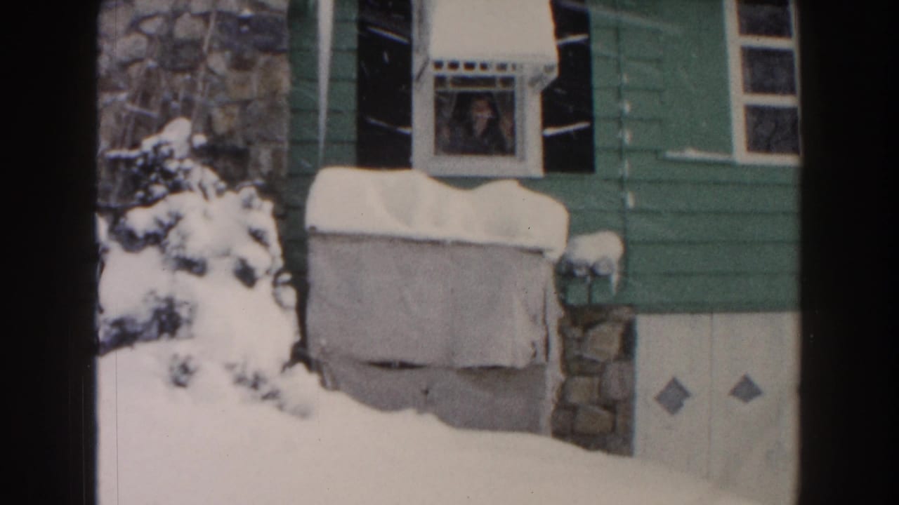 Green house facade with snow, shutters, stonework, and a person in the window.
