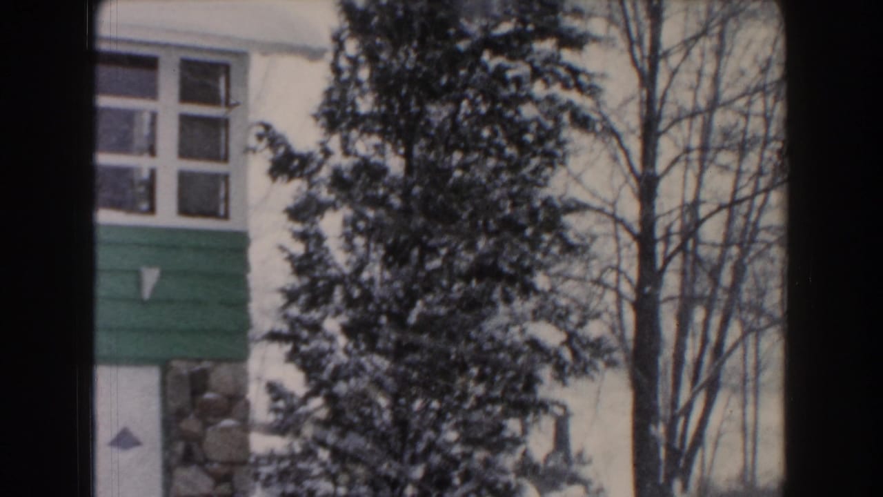 Snowy house facade partly obscured by dark film-frame borders and evergreen trees.