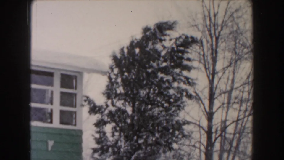 1961 Dearborn, Michigan frame showing a snow-laden evergreen near a residential window, with bare branches and soft 8mm exposure during winter weather.