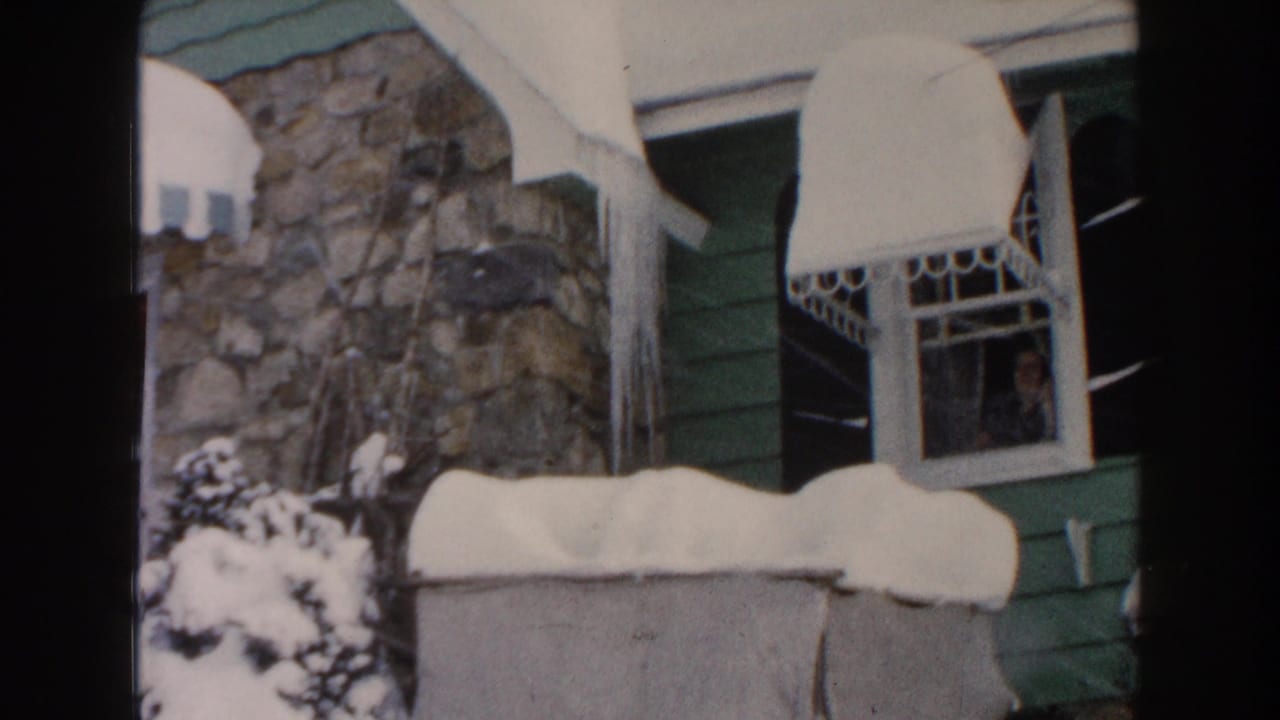 Snow-covered green and stone house exterior with awnings, icicles, shrubs, and a window.