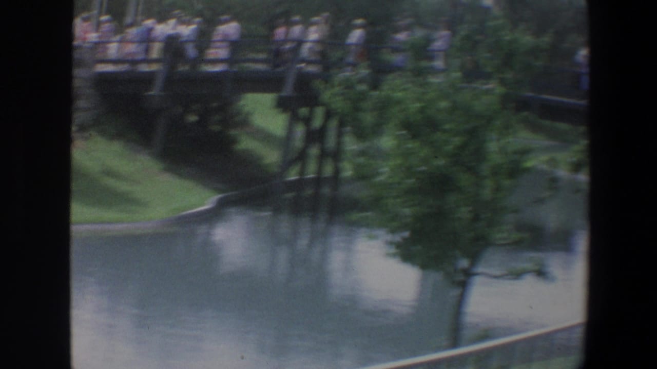 1973 Walt Disney World visitor footage shows people gathered on a bridge over calm water, with trees and shaded walkways in view.