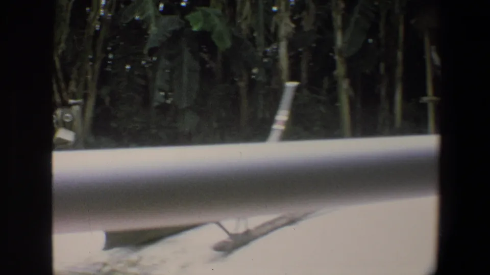 The passenger camera looks past the boat rail toward palms and dense tropical planting along the Walt Disney World waterway.