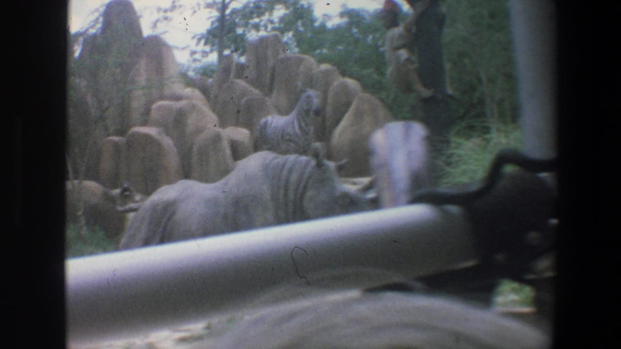 1973 Walt Disney World safari view with rhinoceros, zebra, rock formations, greenery, and a vehicle railing in the foreground.