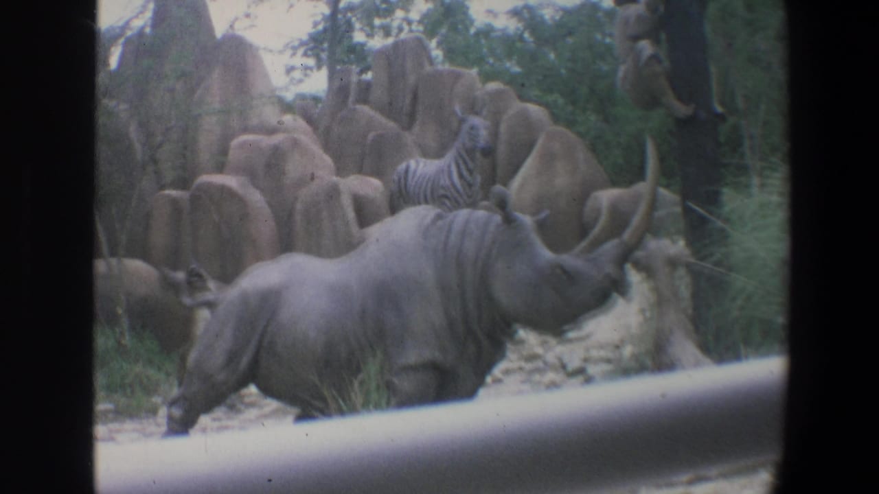 Rhinoceros near rock formations with a zebra behind it and railing in front.