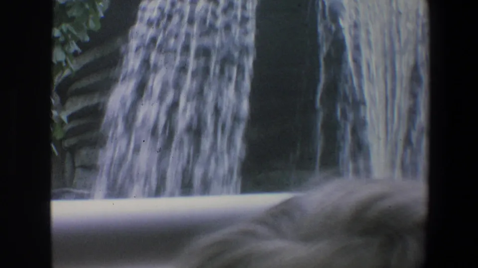 Brief Walt Disney World safari cutaway showing a waterfall feature, dark vertical framing, vehicle railing, and blurred foreground animal or object.