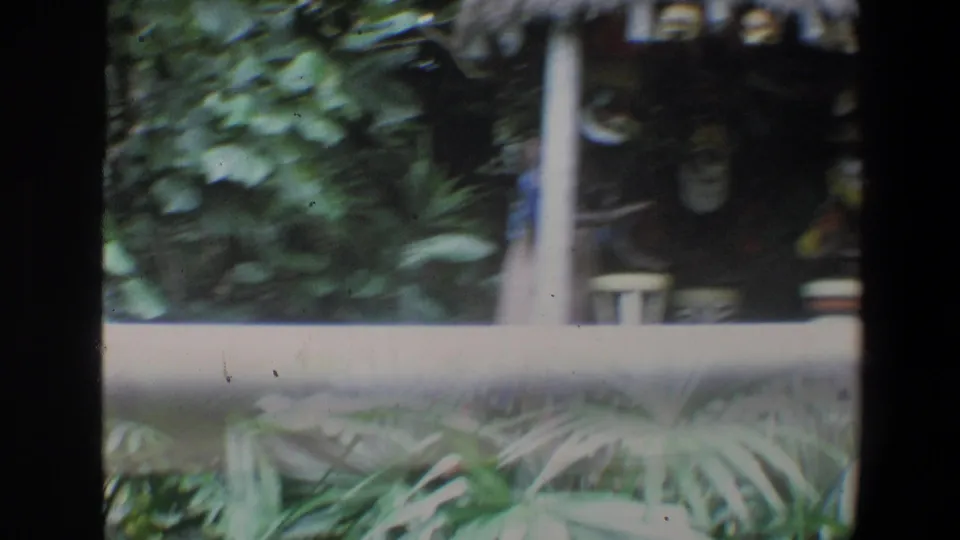 Soft 8mm frame from Walt Disney World showing tropical leaves, a vertical post and dim themed objects during camera movement.