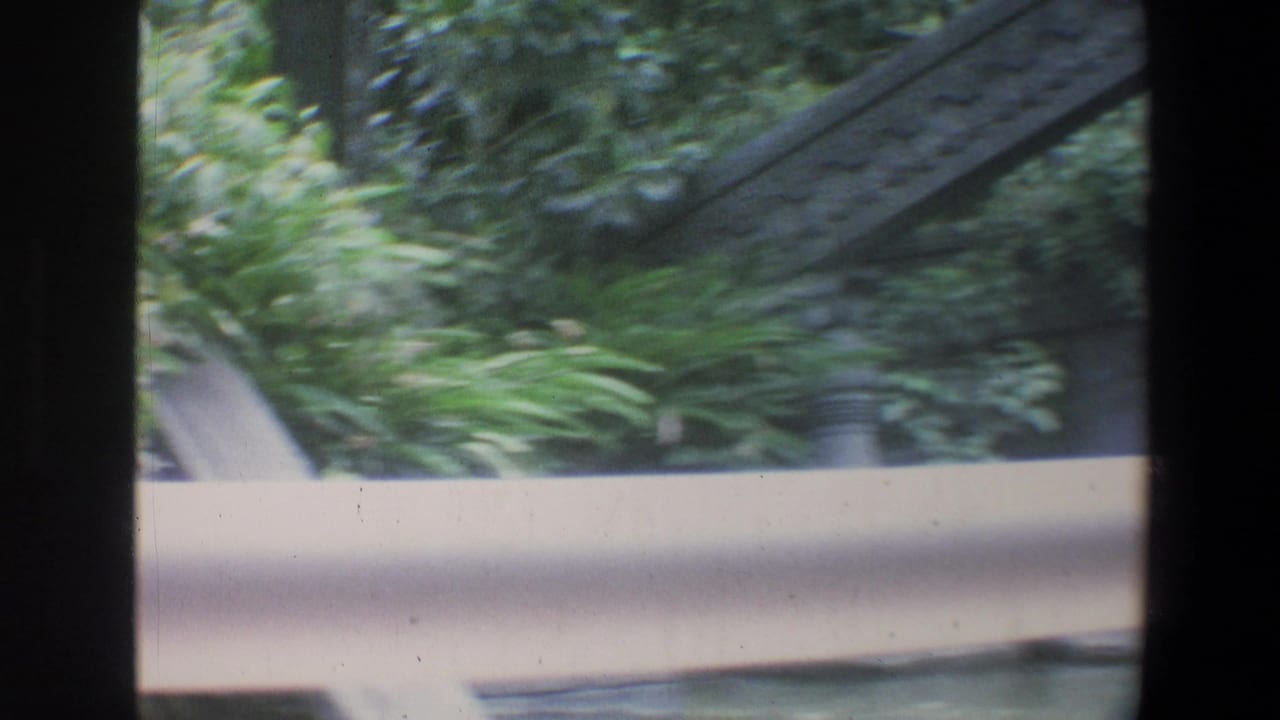 Blurred park railing and dense greenery seen through dark film-frame borders.