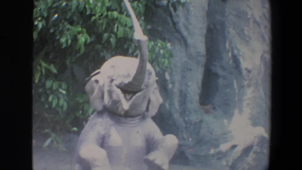 1973 Walt Disney World frame showing an elephant with trunk raised near rockwork and greenery inside the enclosure.
