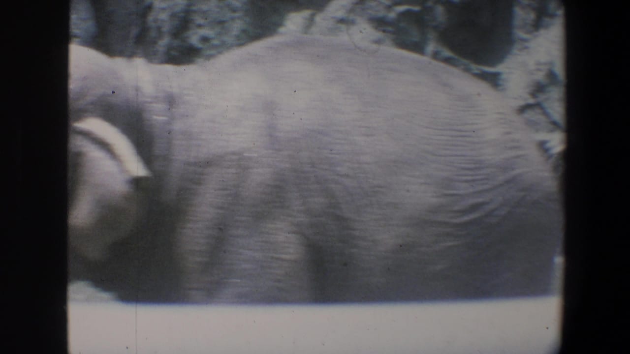Close side view of an elephant figure against a rocky backdrop.