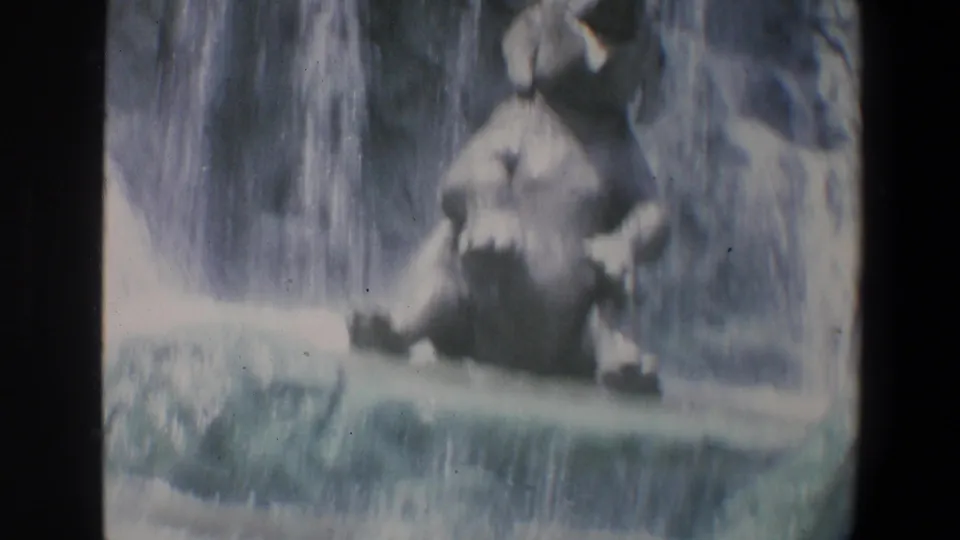 1973 Walt Disney World 8mm frame showing an elephant figure near a falling water feature and artificial rockwork.
