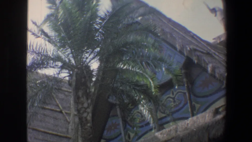 1973 Walt Disney World frame with a palm tree in front of painted tropical panels and thatched exterior details.