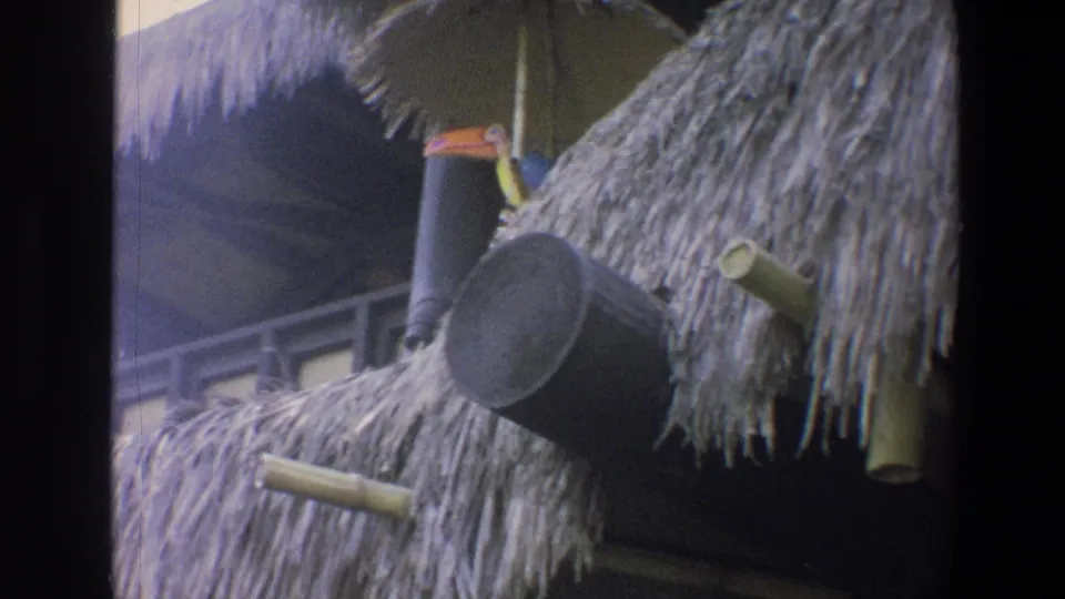 1973 Walt Disney World home-movie view of thatched roofing with a toucan decoration, bamboo-like posts, and a hanging barrel ornament.