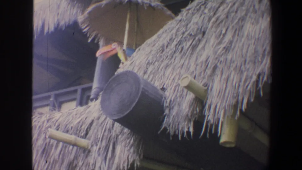 1973 Walt Disney World frame showing thatched resort decor with a toucan ornament, bamboo-like supports, and shaded exterior structure.