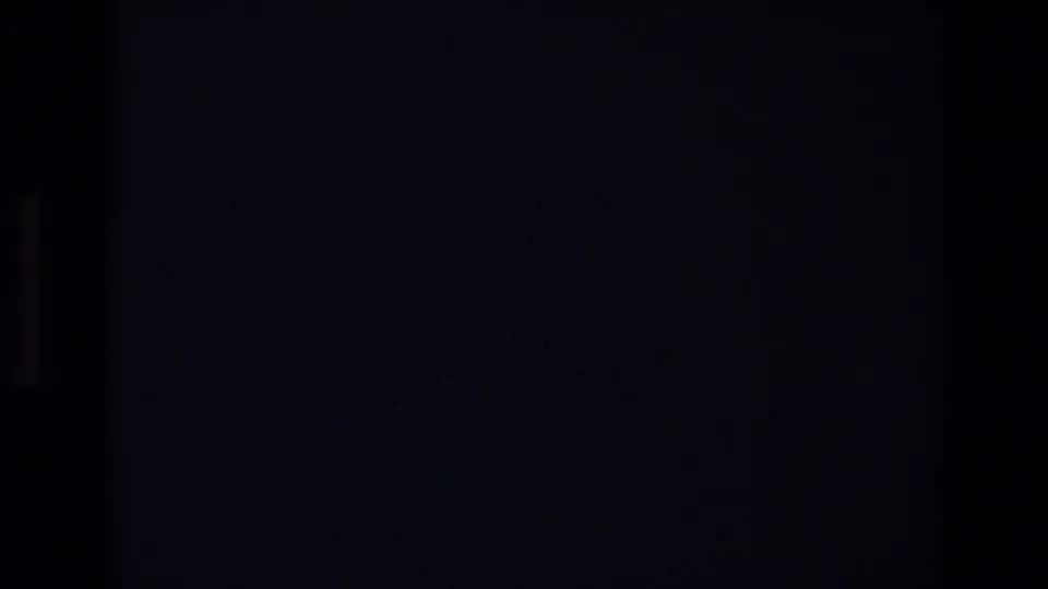 Underexposed 1973 Walt Disney World home-movie frame with dark blue-black field, film grain, and a small vertical highlight.