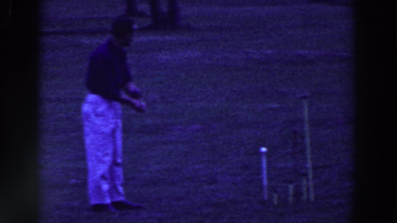 Man stands on a lawn near a white ball and croquet stakes.