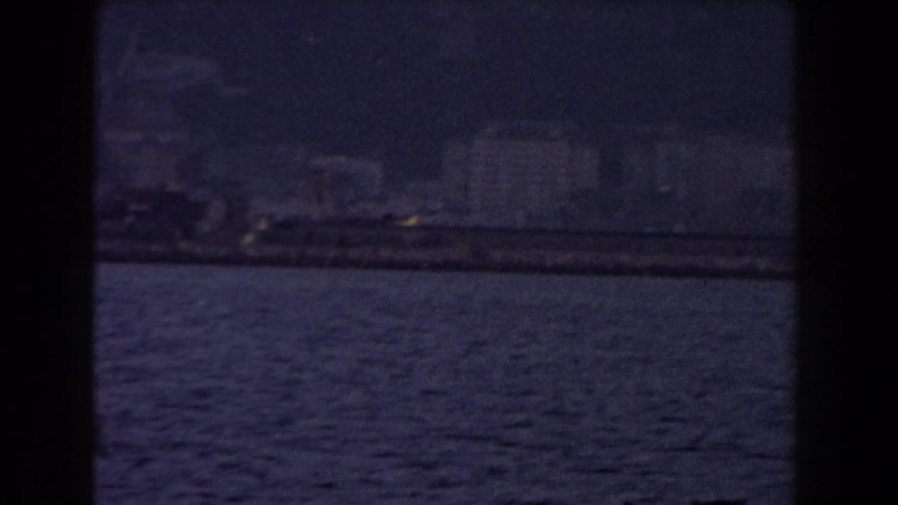 Distant waterfront buildings beyond rippling blue water under a muted sky.