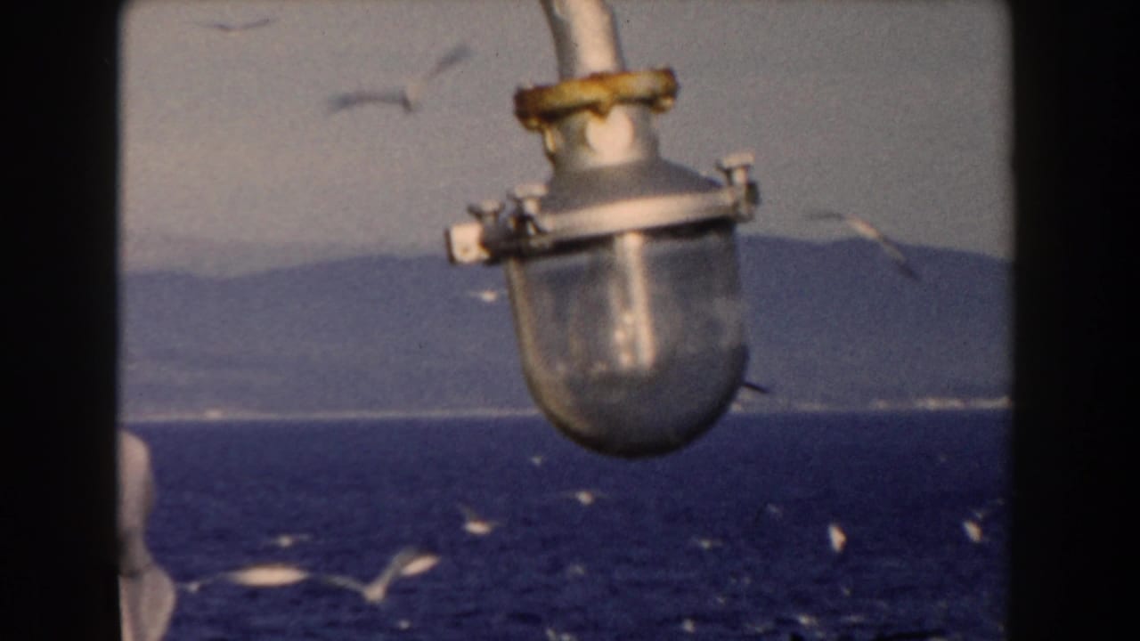Metal lamp fixture above blue ocean with white birds flying nearby.