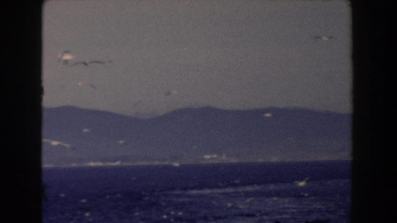 Hazy sea with gulls, distant mountains, and dark vertical frame edges.