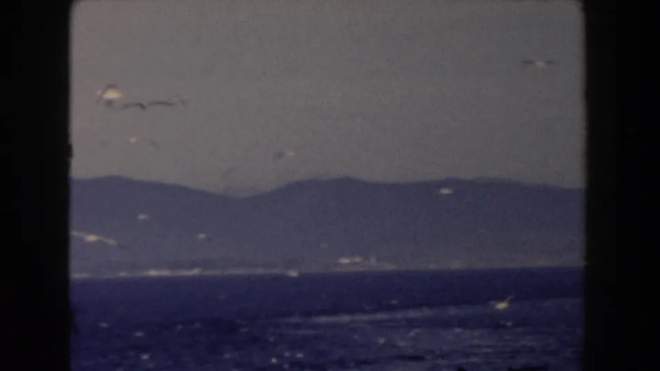 1959 8mm Gibraltar view looking over hazy water toward distant mountains, with gulls crossing the frame.