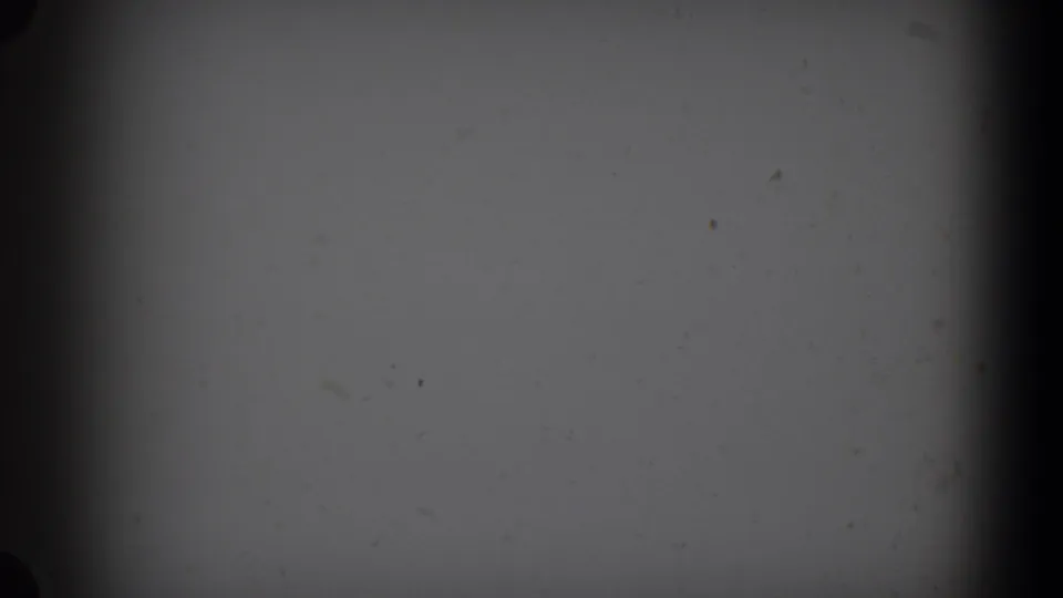 Opening 8mm frame from Lubbock, Texas, showing a partial dark film edge, dry grass, pale sky, and distant low brush.