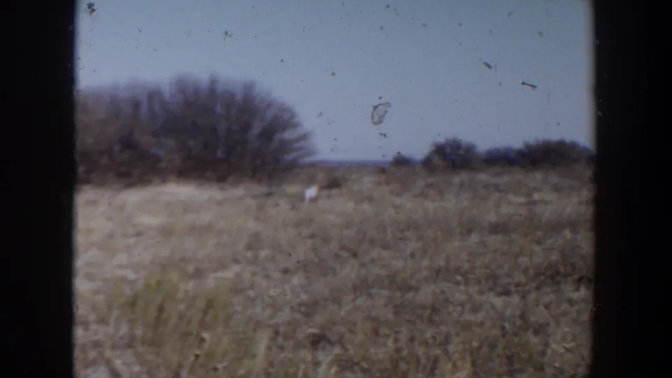 Lubbock, Texas 8mm frame showing a wide dry field, distant brush, clear blue sky, dark frame edges, and visible film wear.