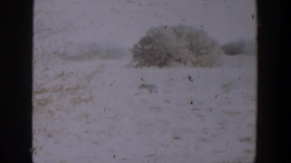1957 Lubbock 8mm frame showing a small dog nearly blending into a snowy open field, with a dark bush or low tree beyond.