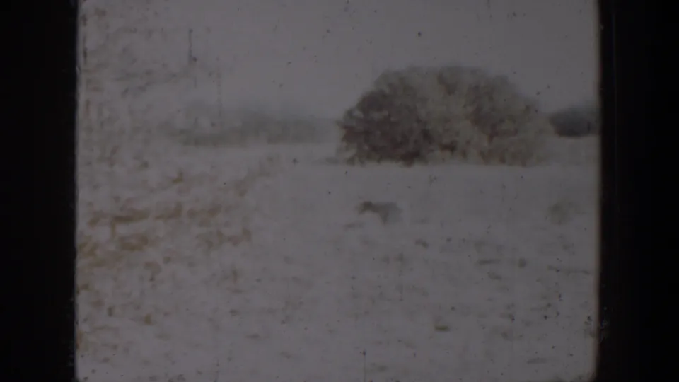 1957 home-movie frame from Lubbock showing a small dog in a snow-covered field, softened by grain and exposure.