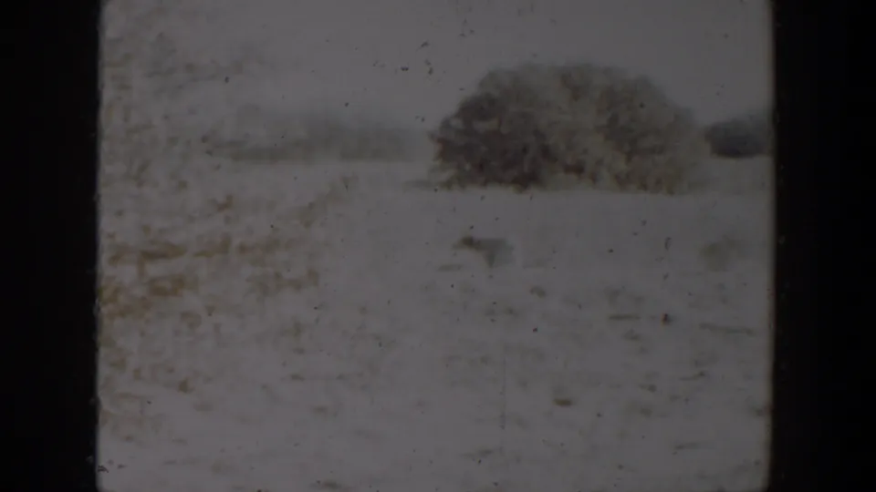 The final 8mm frame holds on the same snowy Lubbock field, where the small dog is faint against the white ground.