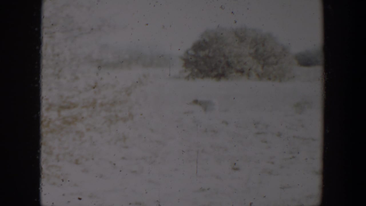 1957 Lubbock-area 8mm frame showing a snowy open field, faint grasses, and a dark shrub under soft exposure.