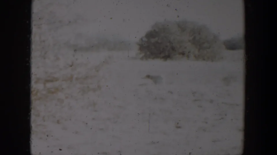 1957 Lubbock-area 8mm frame showing a snowy open field, faint grasses, and a dark shrub under soft exposure.