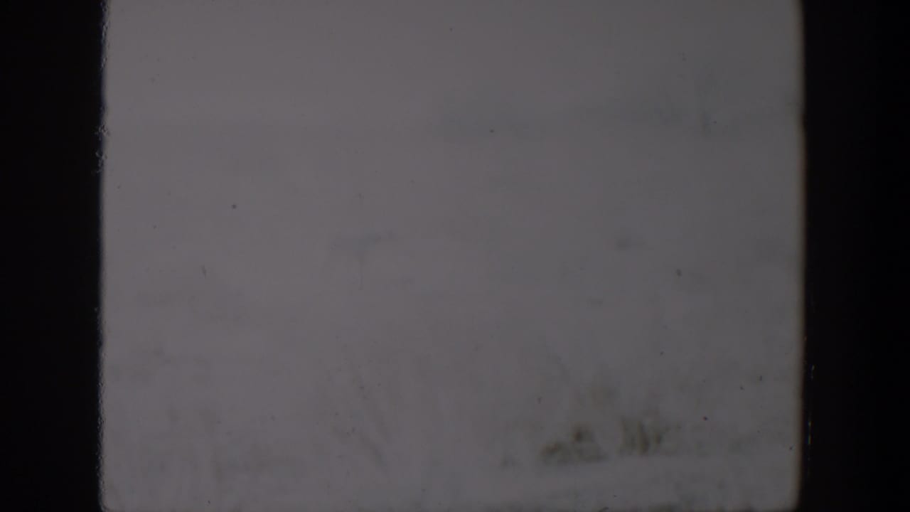 Overexposed outdoor frame with faint low vegetation and dark film borders.