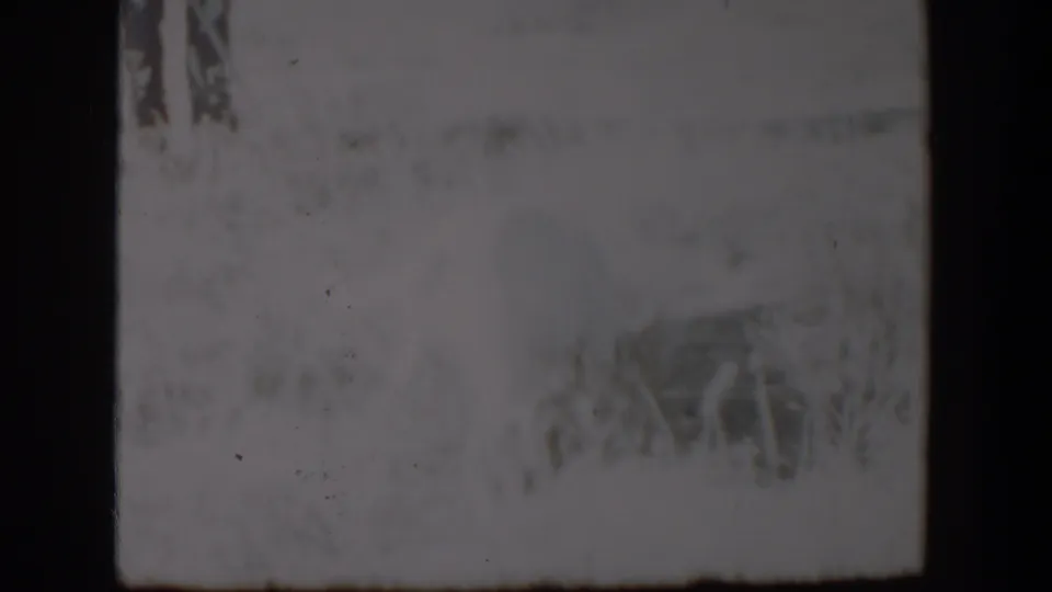 A faint dog-like form appears low in the grass in this damaged 1957 Lubbock 8mm home-movie frame.