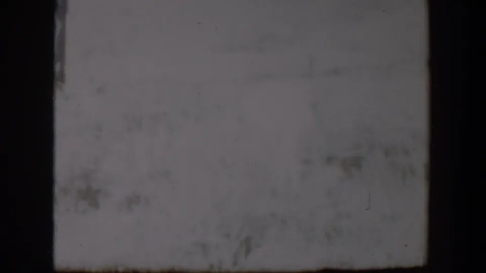 The final Lubbock home-movie still shows faded grass and pale ground, with the animal no longer clearly distinguishable.