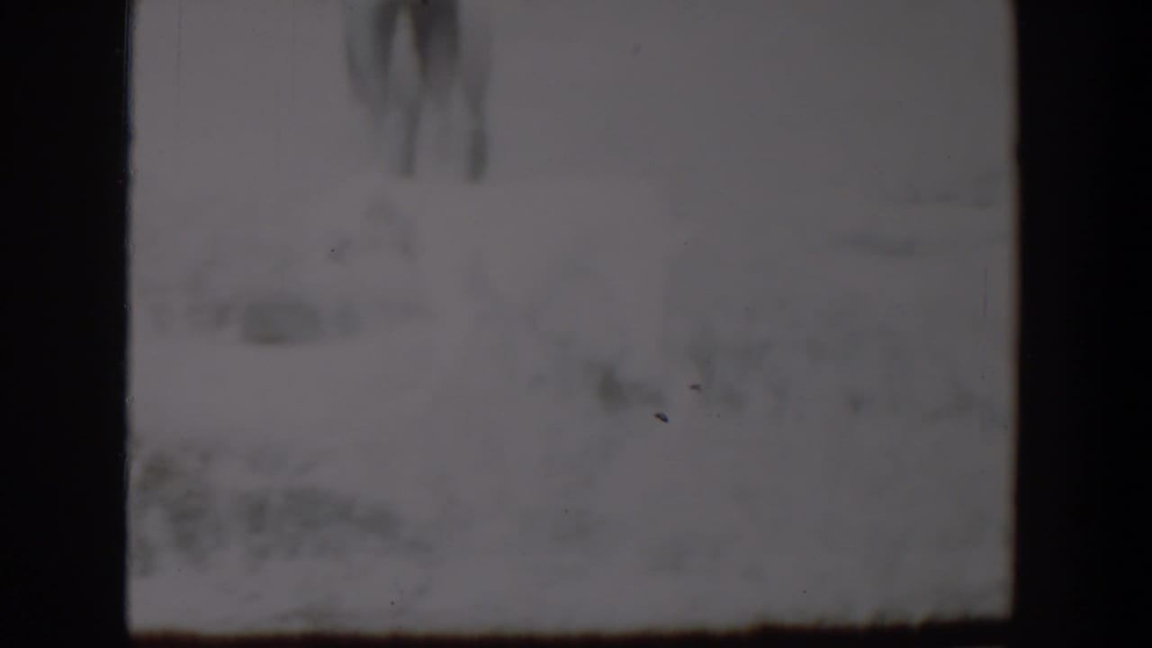 Snowy outdoor view with faint dog and figure shapes behind dark frame divisions.