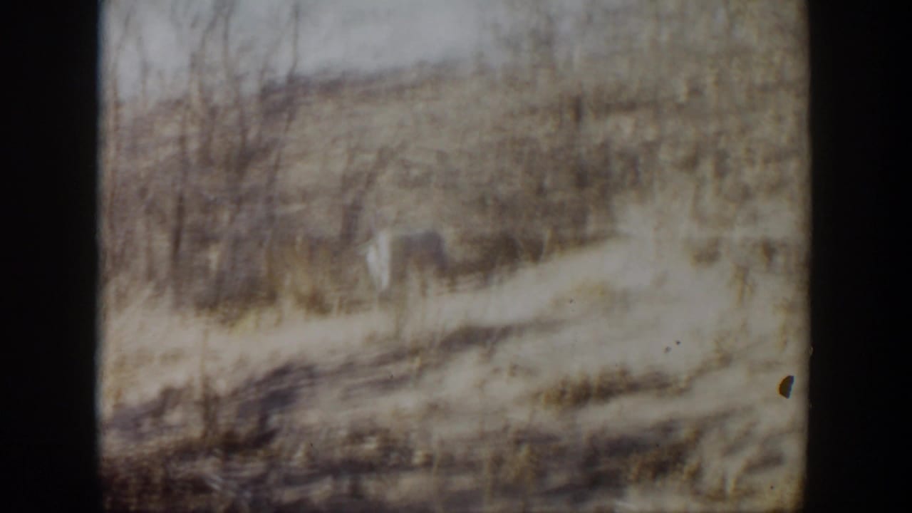 Faded 1957 8mm view of dry pasture and leafless trees in the Lubbock, Texas area.