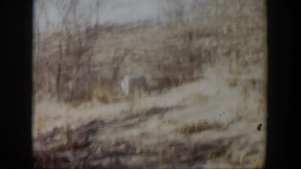 Faded 1957 8mm view of dry pasture and leafless trees in the Lubbock, Texas area.