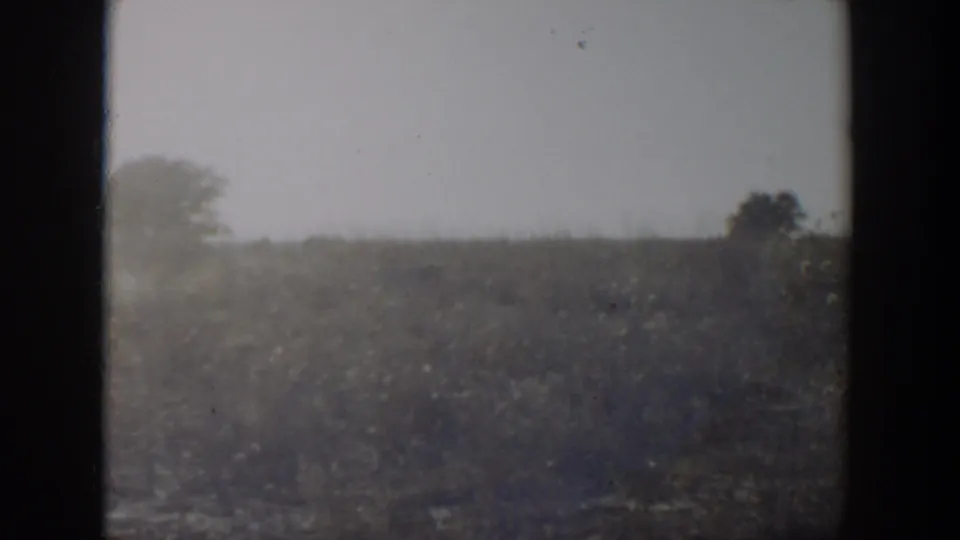 Soft, underexposed 8mm view of dry grassland and distant trees in rural Lubbock, Texas.