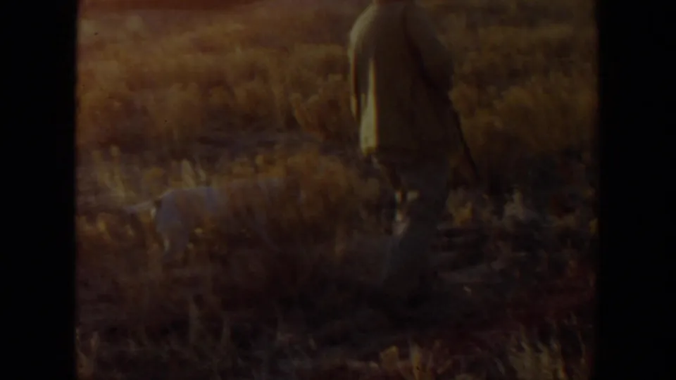An adult wearing a hat walks through the dry field near the dog in footage identified as 1957 Lubbock, Texas.