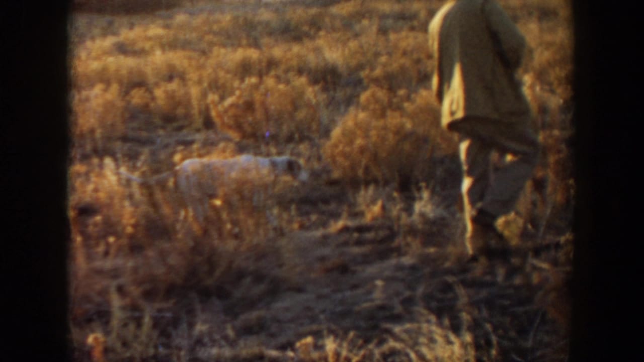 In metadata-supported 1957 Lubbock, Texas footage, two distant figures move through golden prairie with a white dog ahead of them.